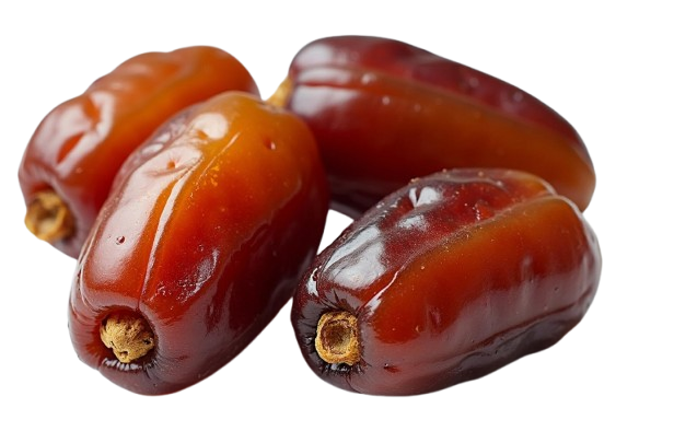 20693-removebg-preview